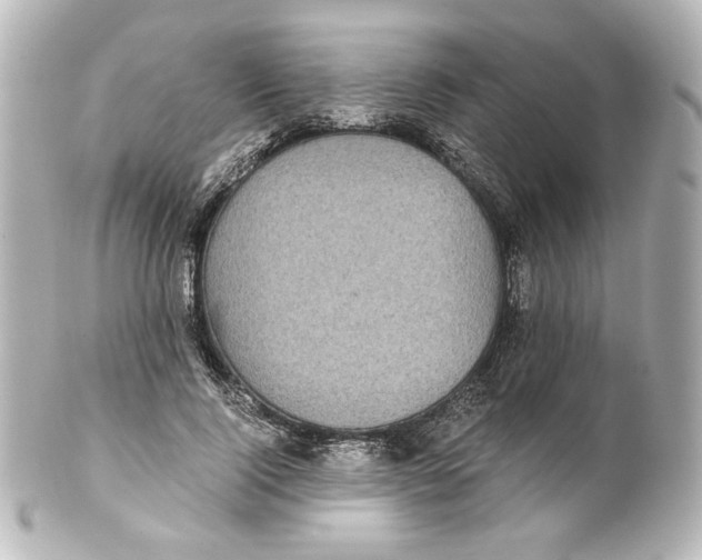 X0000101430740200807281000