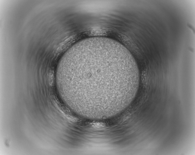 X0000101430741200807281000