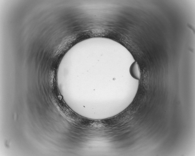 X0000101430742200807281000