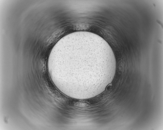 X0000101430743200807281000