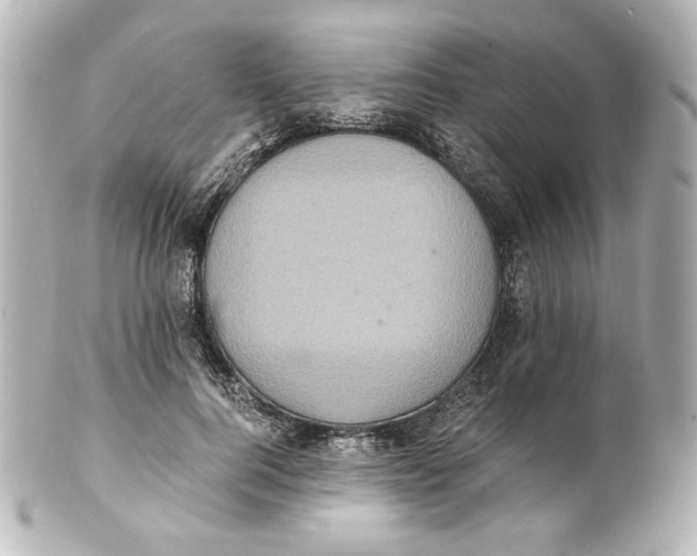 X0000101430744200807281000