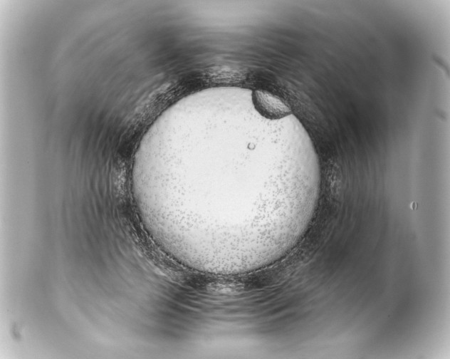 X0000101430745200807281000