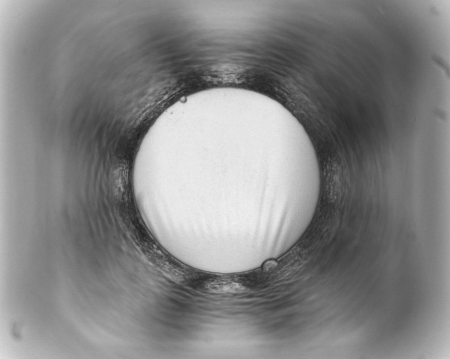 X0000101430747200807281000