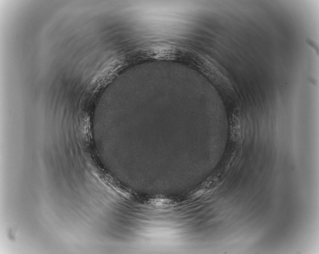 X0000101430748200807281000