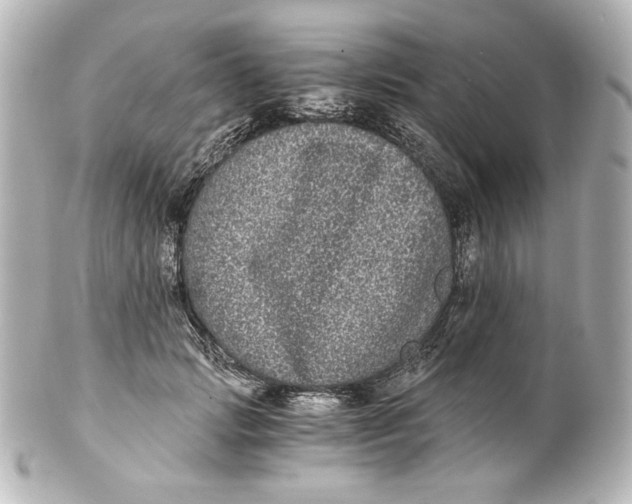 X0000101430749200807281000