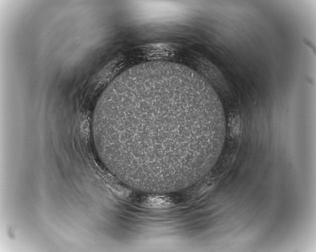 X0000101430753200807281000