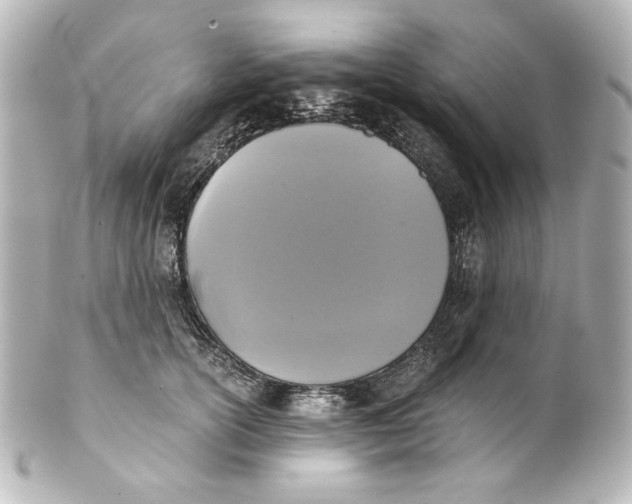 X0000101430754200807281000