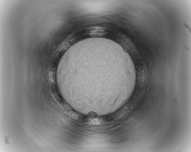 X0000101430755200807281000