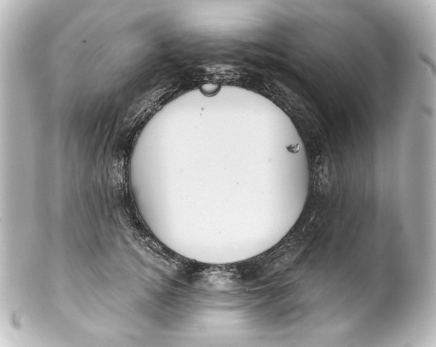 X0000101430756200807281000