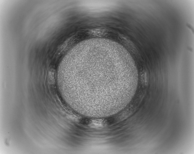 X0000101430757200807281000