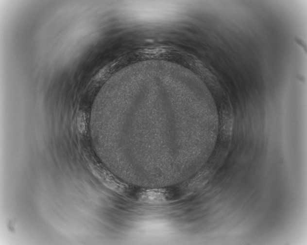 X0000101430758200807281000