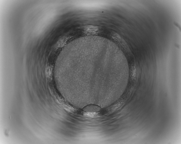 X0000101430759200807281000