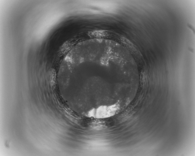 X0000101430760200807281000