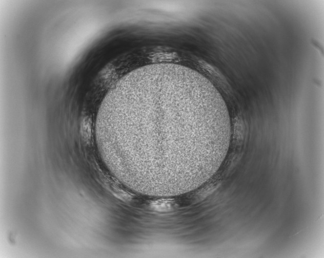 X0000101430761200807281000