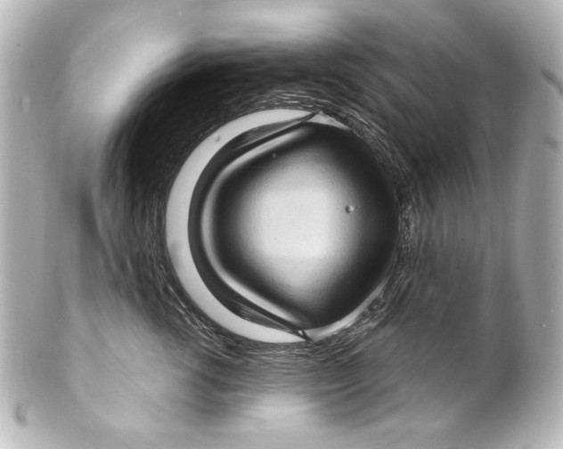 X0000101430762200807281000