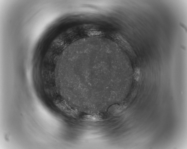 X0000101430763200807281000