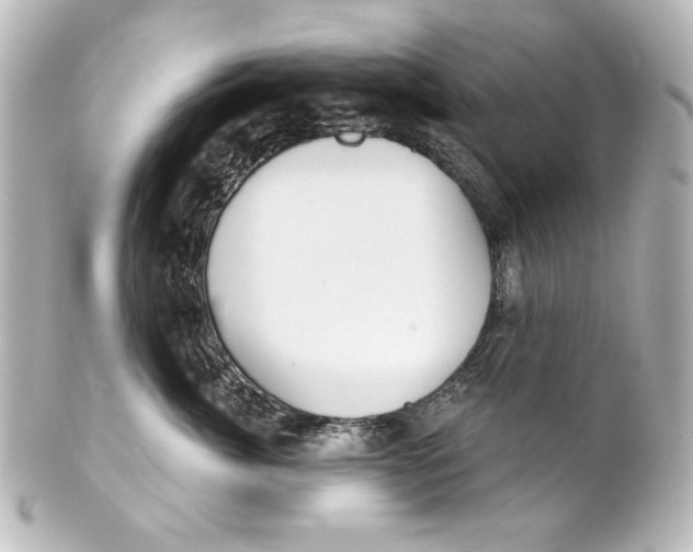 X0000101430764200807281000