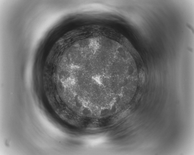 X0000101430765200807281001