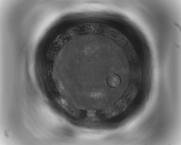 X0000101430766200807281001