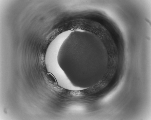 X0000101430767200807281001