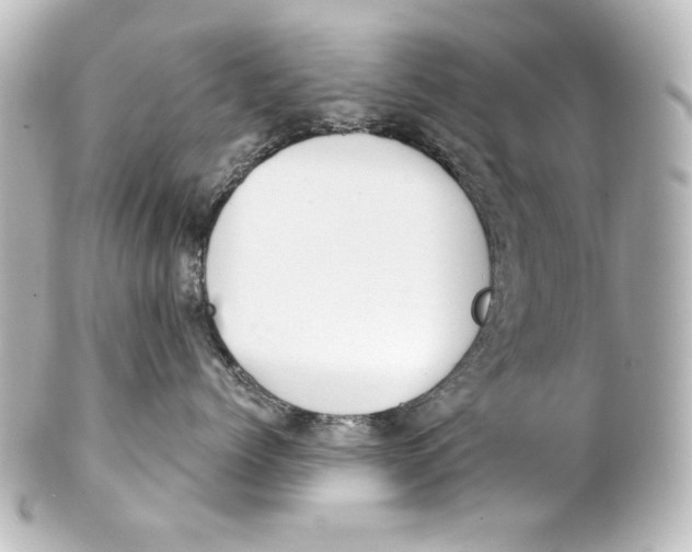 X0000101430768200807281001