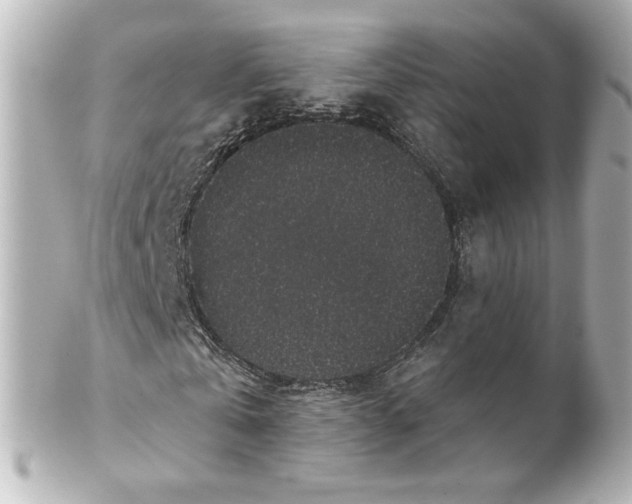 X0000101430769200807281000