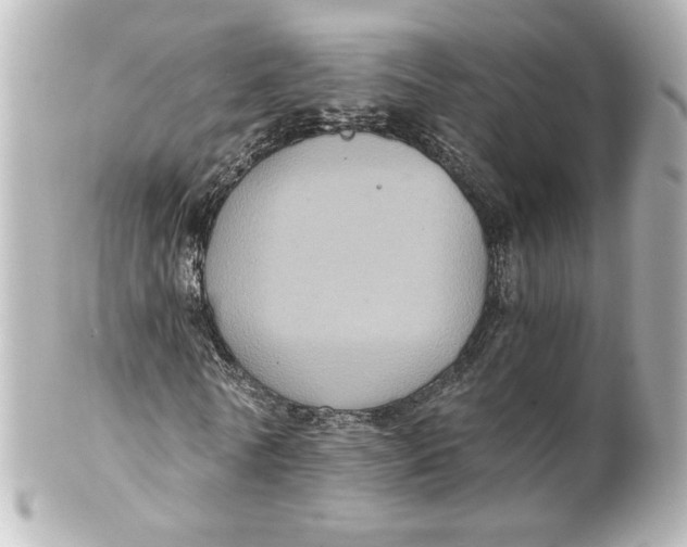 X0000101430770200807281000