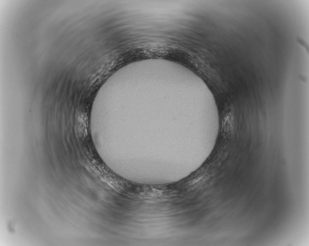 X0000101430772200807281000