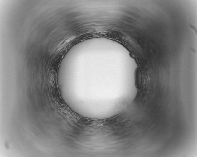 X0000101430773200807281000