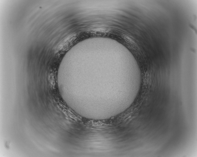 X0000101430774200807281000