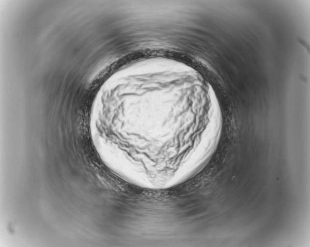 X0000101430775200807281000