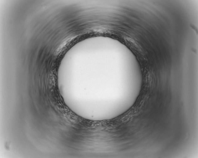 X0000101430776200807281000