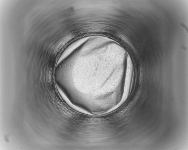 X0000101430777200807281000