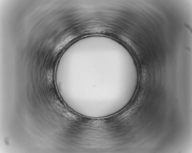 X0000101430778200807281000