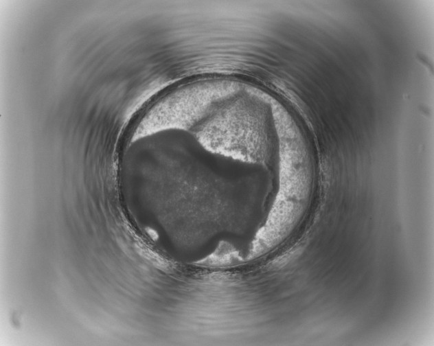 X0000101430779200807281000