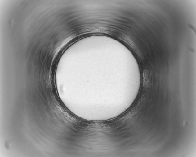 X0000101430780200807281000