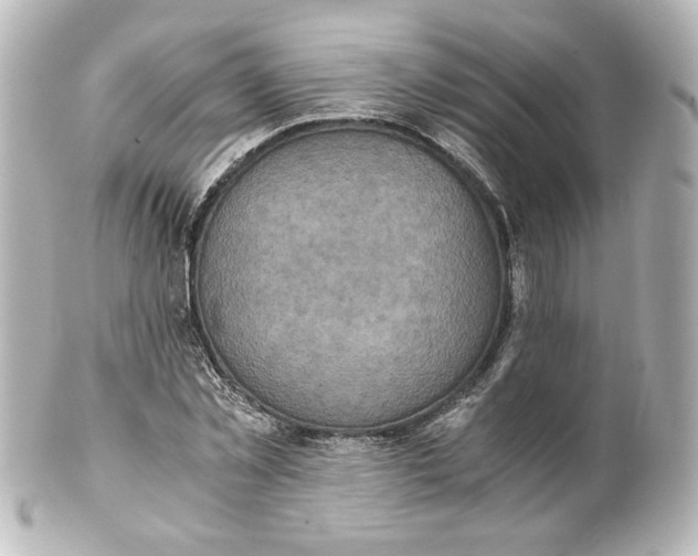 X0000101430781200807281000