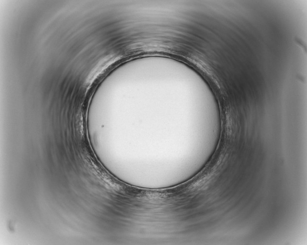 X0000101430782200807281000