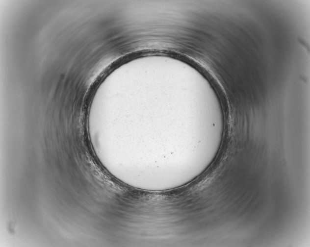 X0000101430783200807281000