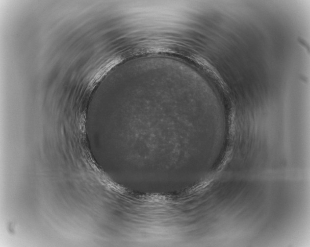 X0000101430785200807281000