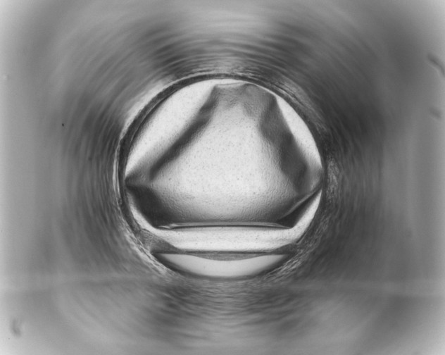 X0000101430788200807281000