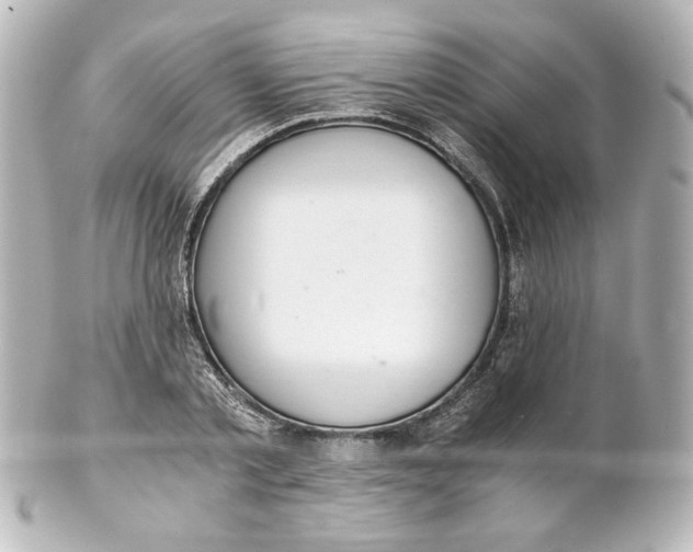 X0000101430789200807281000