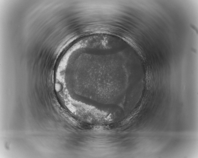 X0000101430790200807281000