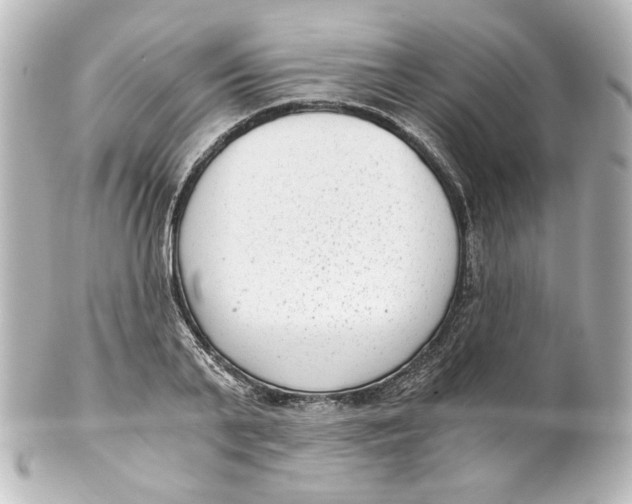 X0000101430791200807281000