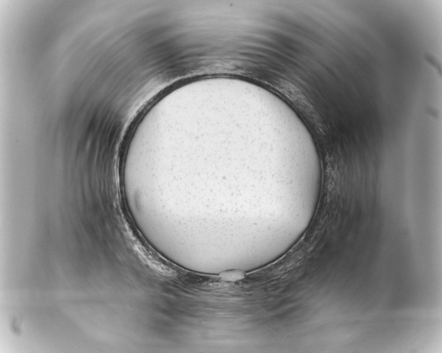 X0000101430792200807281000