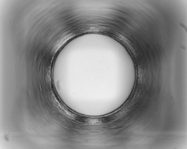 X0000101430794200807280959