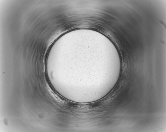 X0000101430795200807280959