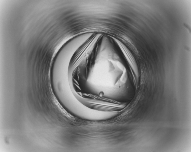 X0000101430796200807280959