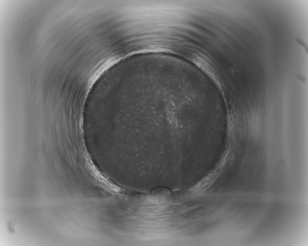 X0000101430797200807280959