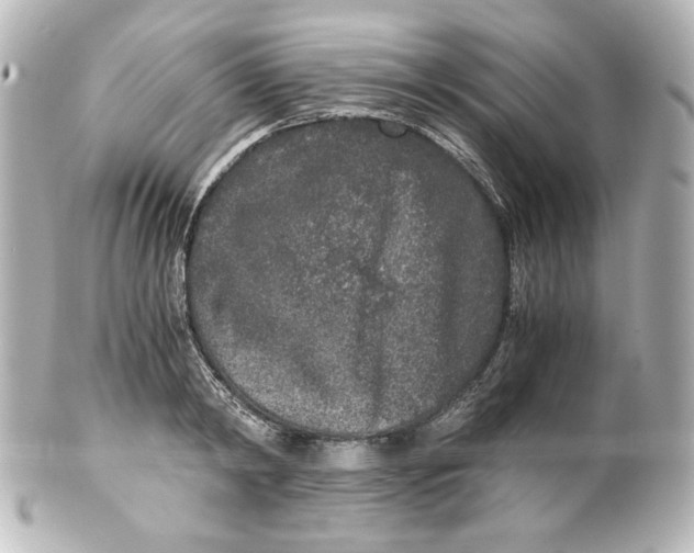 X0000101430798200807280959